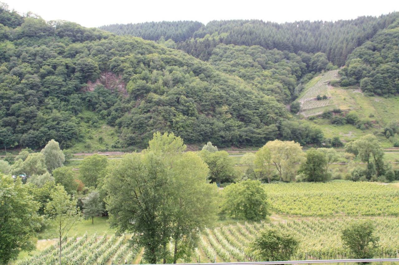 Willa Weingut Sauer-Kettermann Enkirch Zewnętrze zdjęcie