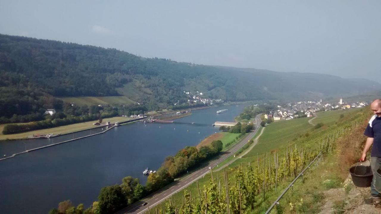 Willa Weingut Sauer-Kettermann Enkirch Zewnętrze zdjęcie