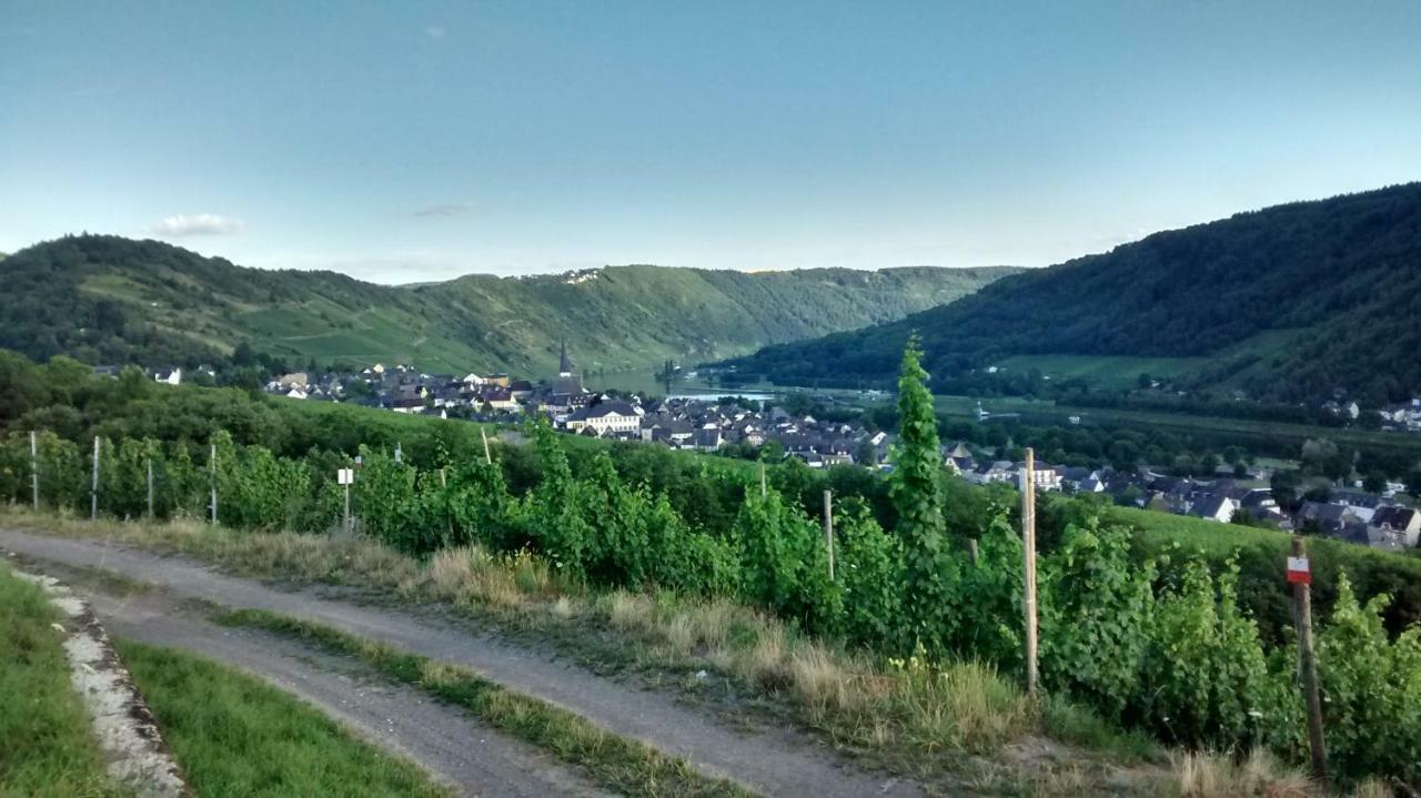 Willa Weingut Sauer-Kettermann Enkirch Zewnętrze zdjęcie