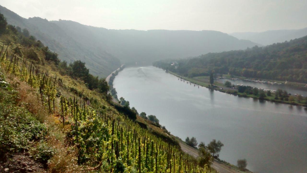 Willa Weingut Sauer-Kettermann Enkirch Zewnętrze zdjęcie